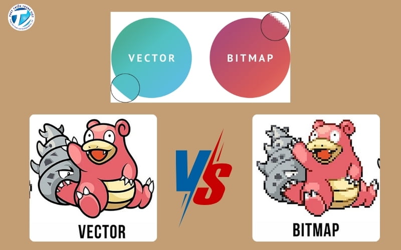 File hình vector và Bitmap khác nhau như thế nào?